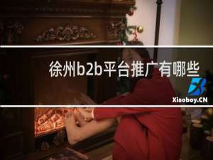 徐州b2b平台推广有哪些