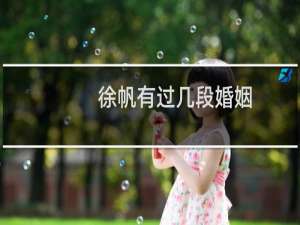 徐帆有过几段婚姻