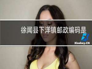 徐闻县下洋镇邮政编码是多少