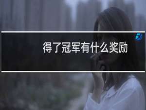 得了冠军有什么奖励