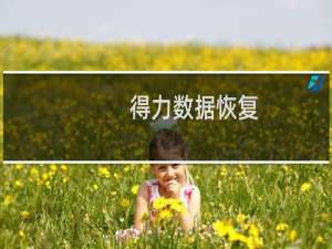 【得力数据恢复】免费得力数据恢复软件下载