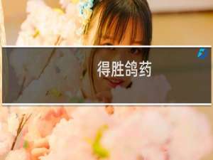得胜鸽药