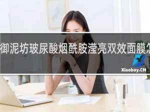 御泥坊玻尿酸烟酰胺滢亮双效面膜怎么样