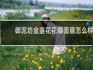 御泥坊金盏花花瓣面膜怎么样