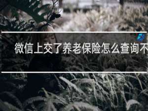微信上交了养老保险怎么查询不到