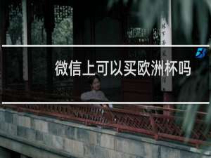 微信上可以买欧洲杯吗