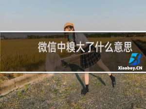 微信中糗大了什么意思