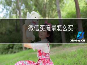 微信买流量怎么买