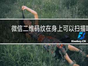 微信二维码纹在身上可以扫描吗