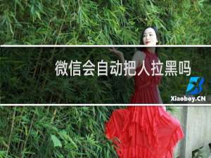 微信会自动把人拉黑吗