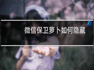 微信保卫萝卜如何隐藏