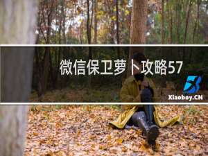 微信保卫萝卜攻略57