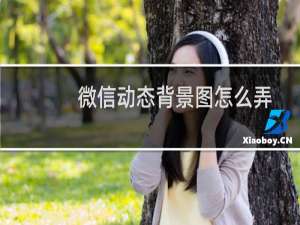 微信动态背景图怎么弄视频（微信动态背景图怎么弄）