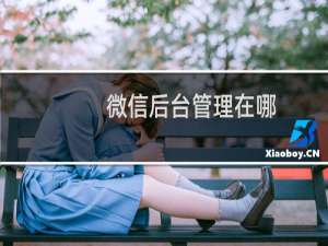 微信后台管理在哪