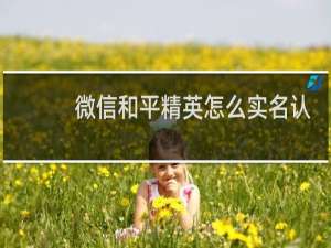 微信和平精英怎么实名认证(微信和平精英怎么实名认证身份证)