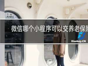 微信哪个小程序可以交养老保险