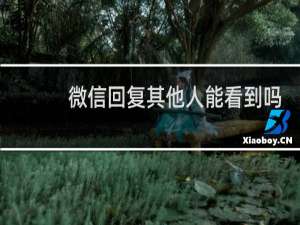 微信回复其他人能看到吗