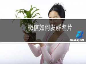 微信如何发群名片