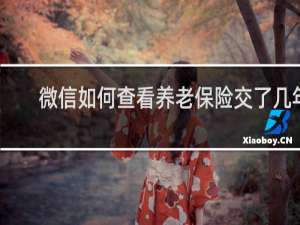微信如何查看养老保险交了几年