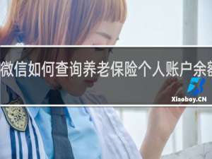 微信如何查询养老保险个人账户余额查询