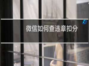 微信如何查违章扣分（微信用哪个公众号号查车违章）