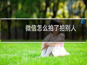 微信怎么拍了拍别人（微信怎么拍了拍）