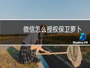 微信怎么授权保卫萝卜