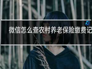 微信怎么查农村养老保险缴费记录