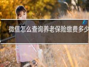 微信怎么查询养老保险缴费多少年