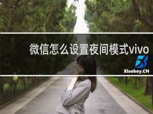 微信怎么设置夜间模式vivo