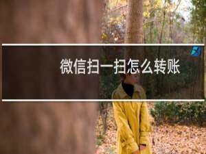 微信扫一扫怎么转账