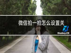 微信拍一拍怎么设置关闭（微信拍一拍怎么设置内容）