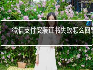 微信支付安装证书失败怎么回事