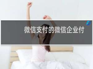 微信支付的微信企业付款功能