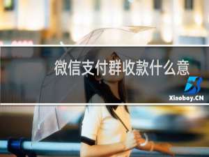 微信支付群收款什么意思（微信群收款是什么意思）