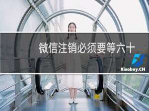 微信注销必须要等六十天吗（微信注销一定要60天吗）