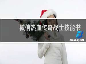微信热血传奇战士技能书