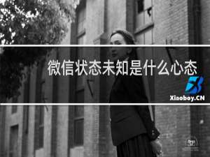 微信状态未知是什么心态