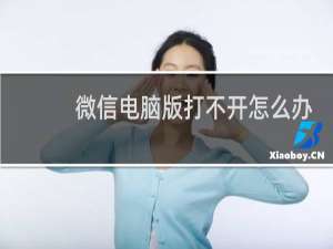 微信电脑版打不开怎么办