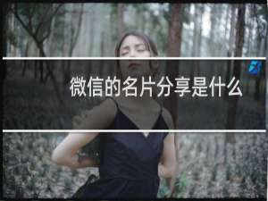 微信的名片分享是什么