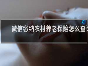 微信缴纳农村养老保险怎么查询