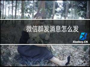 微信群发消息怎么发（微信群发消息怎么发）