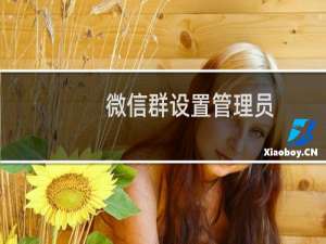 微信群设置管理员