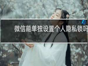 微信能单独设置个人隐私锁吗