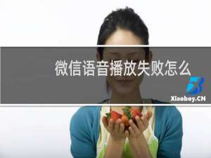 微信语音播放失败怎么回事