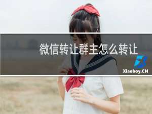 微信转让群主怎么转让（微信中转让群主给别人的方法步骤）