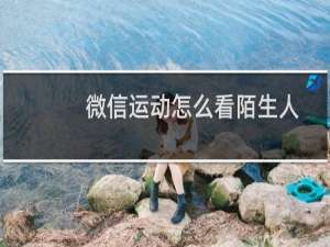 微信运动怎么看陌生人
