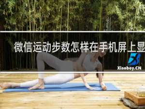 微信运动步数怎样在手机屏上显示