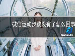 微信运动步数没有了怎么回事