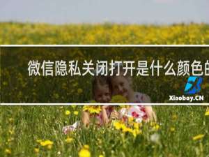 微信隐私关闭打开是什么颜色的